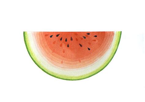 Watermelon Fruit Illustration Watercolor Kitchen Decor By Vapinx 49