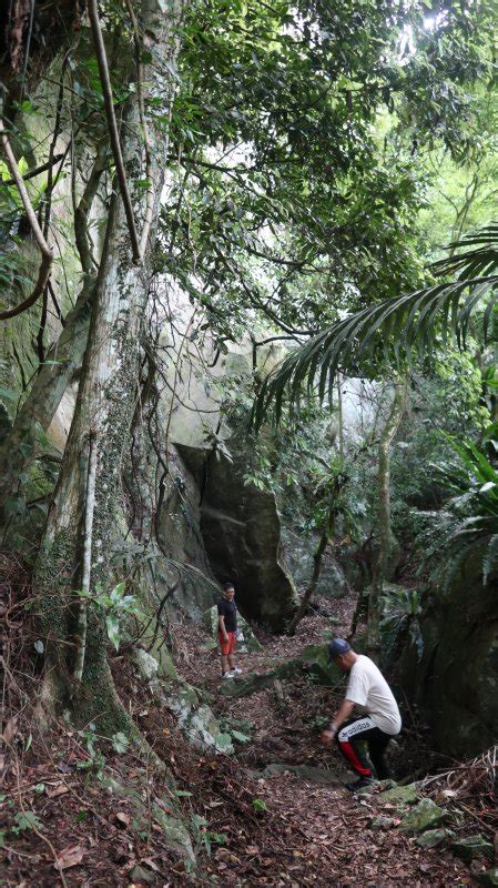 梅后蔓瀑布步道寶山水庫環湖步道 健行筆記