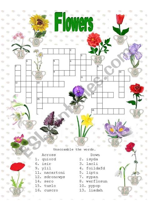 Crosswords Flowers Esl Worksheet By Anna P Sally Crossword Puzzles