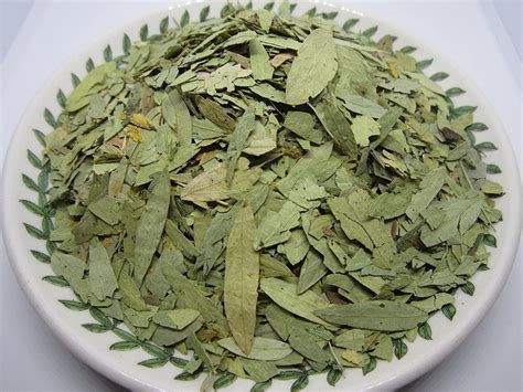 Green Herb Senna Leaves Packaging Type Loose Grade Medicine Grade