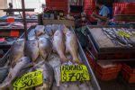 Precios En Que Deben Venderse Los Pescados Y Mariscos Seg N Profeco