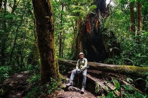 Gunung Kerinci Salah Satu Objek Wisata Kebanggaan Masyarakat Jambi Ini