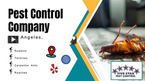 Ppt Pest Control Company Los Angeles Ca Powerpoint Presentation Free To Download Id