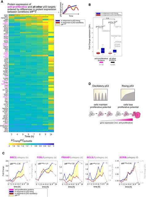 Timeseries Transcriptomics And Proteomics Reveal Alternative Modes To