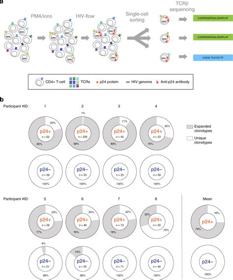 Single Cell Tcr Sequencing Reveals Phenotypically Diverse Clonally Expanded Cells Harboring