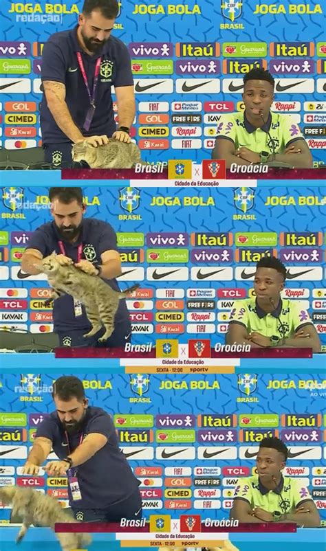 【サッカー】ブラジル代表の広報担当者、記者会見場に乱入した猫を床に投げ捨てて炎上 News Everyday