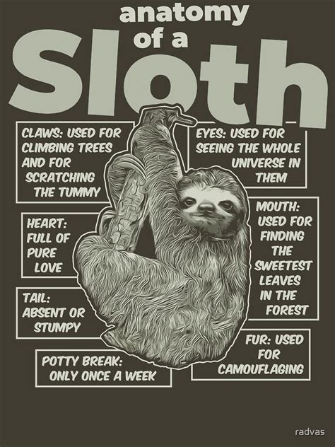 "Anatomy of a Sloth" T-shirt by radvas | Redbubble