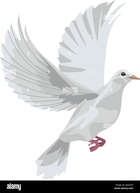 White Dove Flying Stock Vector Image And Art Alamy