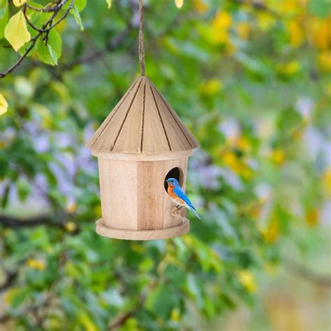 X Cm Nest Huis Vogel Doos Houten Vogel Huis Ne Grandado