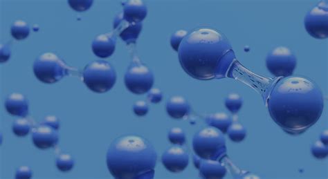 The value and function of proteins in the human body - LesSearch-Lars 