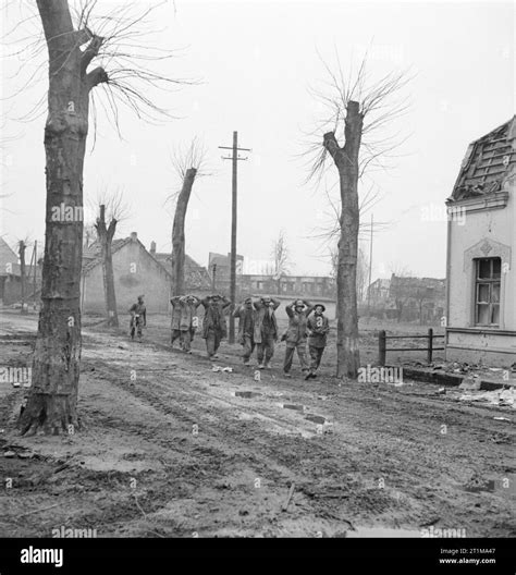 The British Army In North West Europe 1944 45 German Prisoners Being