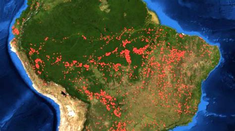 Las Irreversibles Consecuencias De Los Incendios En El Amazonas