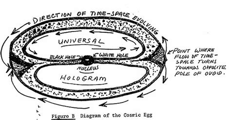 Hologram Black Hole