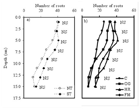 Surface Corn Root Distribution At Sampling Time 2 Corn V6 Stage Up To