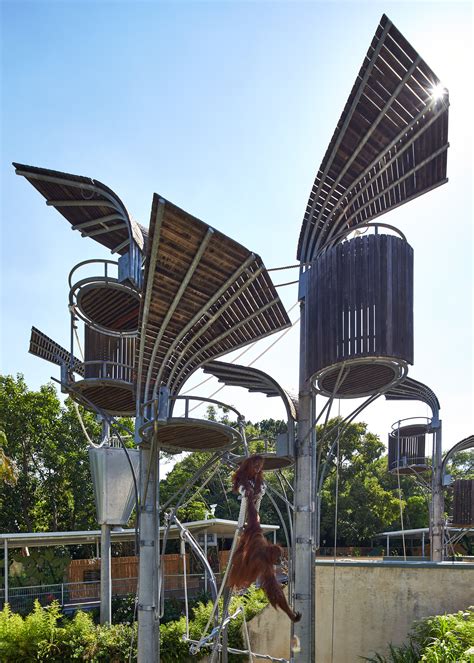 Galería De Exhibición Orang Utan En El Perth Zoo Iredale Pedersen