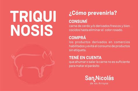 Recomendaciones Para Evitar Contagios De Triquinosis Prensa Libre