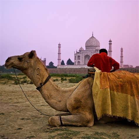 Taj Mahal - India Photo (622306) - Fanpop