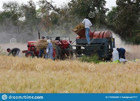 Indian Farmers Working In The Field Editorial Stock Photo Image Of