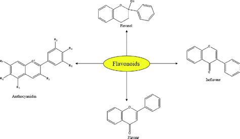 Major Classification Of Flavonoids Download Scientific Diagram