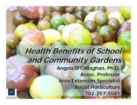 Health Benefits Of School And Community Gardens Ppt