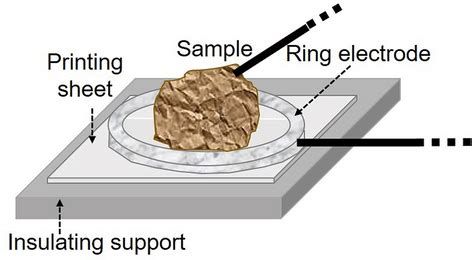 Arrangement using an inert ring electrode | Download Scientific Diagram