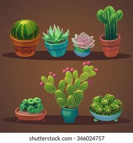 Collection Cactus Other Succulent Flower Pot Stock Vector Royalty Free