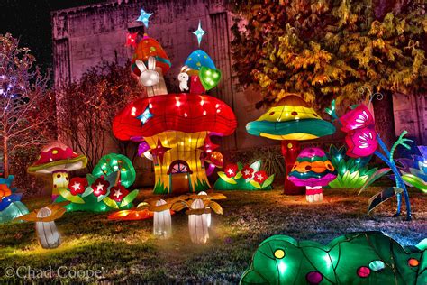 Morikami Japanese Gardens Lantern Festival - Beautiful Insanity