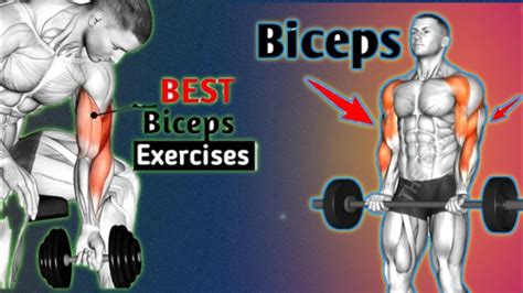 5 Best Bicep Andtricep Workout Dumbbell Exercise In Building Muscle Gym