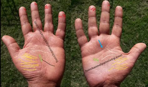 Many Lines On Hand And Unsuccessful Signs In Palmistry