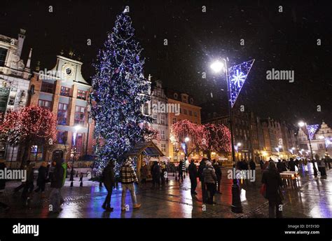 Gdansk, Poland 8th, December 2012 The tallest Christmas tree in Poland ...