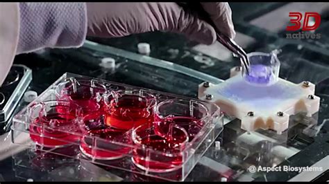 3D Bioprinting The Future Of Medicine YouTube