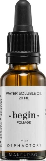 Ambientair The Olphactory Begin Foliage Water Soluble Oil