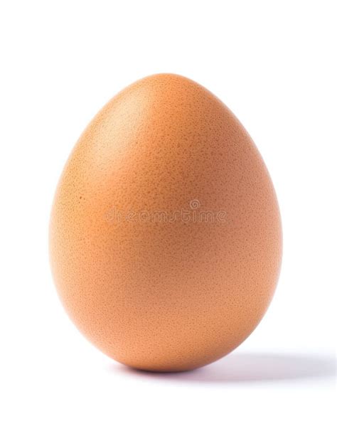 The Perfect Nest Single Chicken Egg On White Background Stock