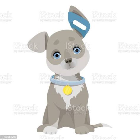 Dog Ear Bandage Stock Illustration - Download Image Now - Animal ...