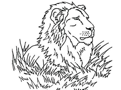 Easy Drawing Of A Lion at GetDrawings | Free download