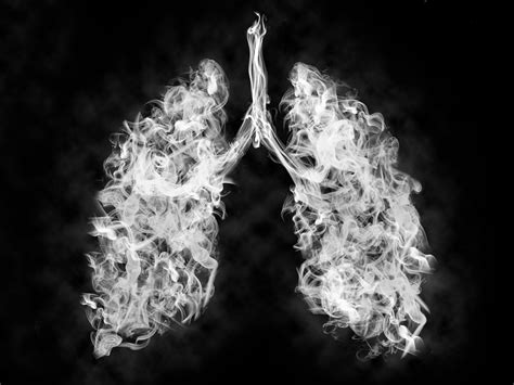 Work Related Lung Disease Training And Testing Services