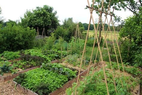 Tapes Pour Pr Parer Un Potager En Permaculture