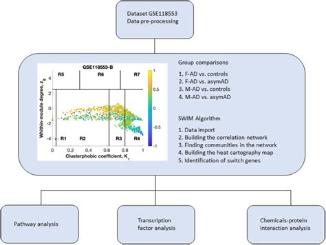 Sex Specific Transcriptional Rewiring In The Brain Of Alzheimers Disease Patients PMC