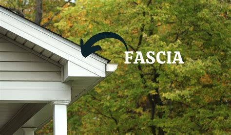 The Importance of Soffit and Fascia for Your Home's Eaves