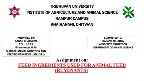 Feed ingredients used for animal feed (ruminants) | PPT