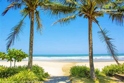 Imagem De Lindos Coqueiros Na Praia Itanhaem