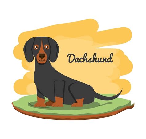 Premium Vector Dachshund Dog Icon