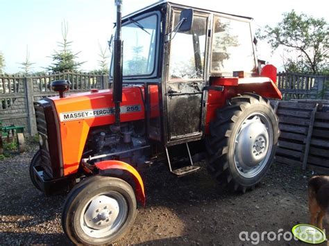 Obraz Ciagnik Massey Ferguson 255 Id 372199 Galeria Rolnicza Agrofoto