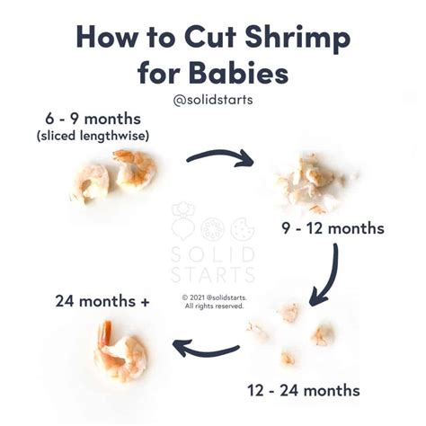 Shrimp for babies first foods for baby – Artofit