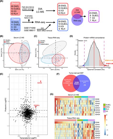 Proteotranscriptomic Analysis Identifies Immunoglobulin M Igm As A Download Scientific