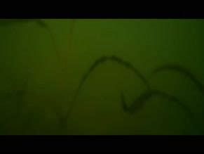 BULL SHARK NUDE SCENES AZNude