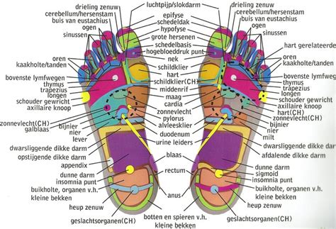 Wat Is Voetreflexologie Voetreflex Overdinkelnl