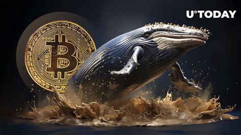 Long Term Bitcoin Btc Whales Accumulate Profits Whats Happening