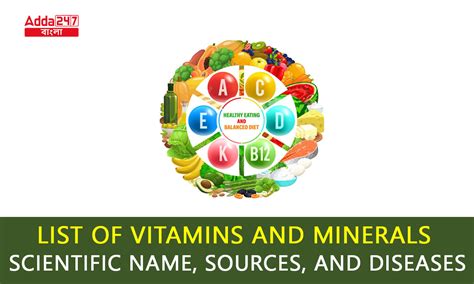 List Of Vitamins And Minerals Scientific Name Sources And Diseases