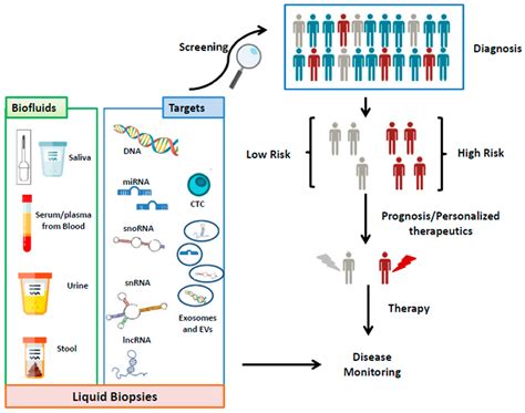 Cancers Free Full Text Noncoding Rnas In Extracellular Fluids As